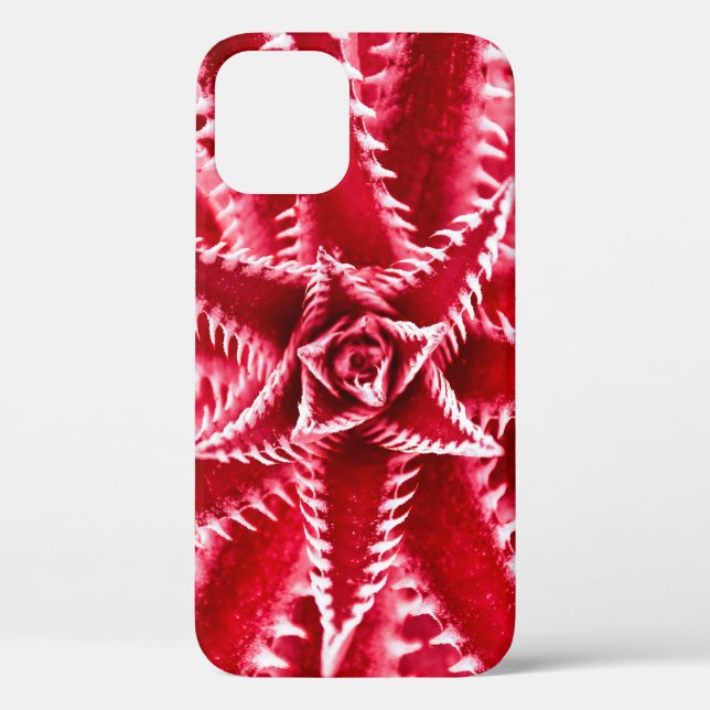 Coques Case-Mate iPhone cactus à épines, motif naturel, dos rouge abstrait (Verso)