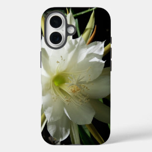 Coque Pour iPhone 16 Cactus Bloom