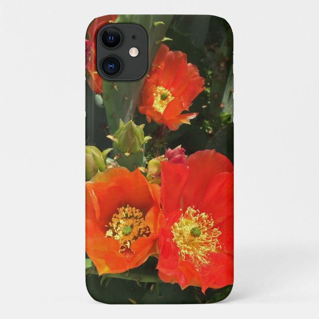 Coques Case-Mate iPhone Cactus Fleur Photo Bright Red Bloom Sud-Ouest (Dos)