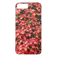 Caisses de téléphone Rouge Poinsettia