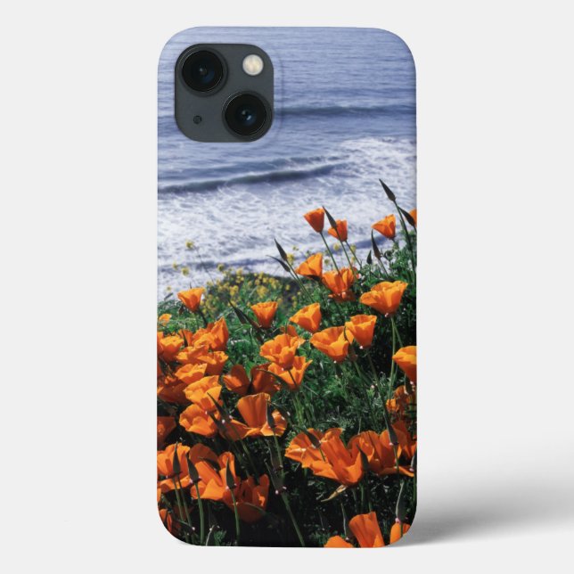 Coques Case-Mate iPhone Californie, Big Sur Coast, Californie Poppy (Verso)