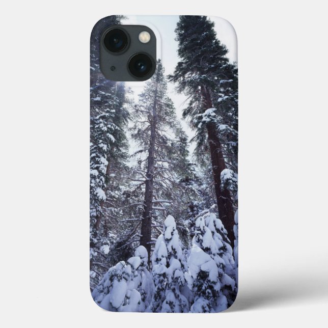 Coques Case-Mate iPhone Californie, Sierra Nevada Mountains 9 (Verso)