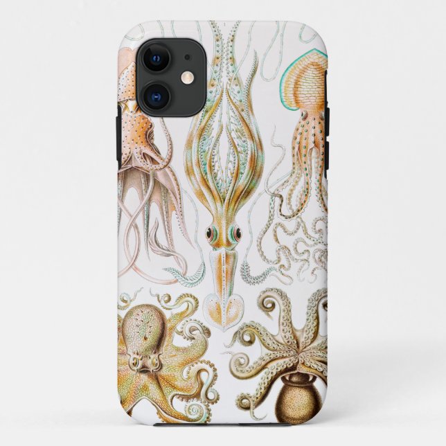 Coques Case-Mate iPhone Calmar de poulpe, Gamochonia, par Ernst Haeckel (Dos)