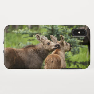 Case-Mate iPhone Case Calves d'orignal