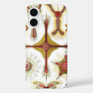 Coques iPhone 16 Camomille sauvage par Ernst Haeckel, Nature vintag