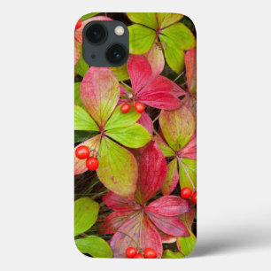 Case-Mate iPhone Case Canada, British Columbia, Mount Robson