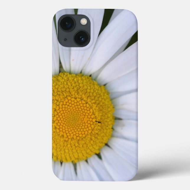 Coques Case-Mate iPhone Canada, Colombie-Britannique, Île de Vancouver 8 (Verso)