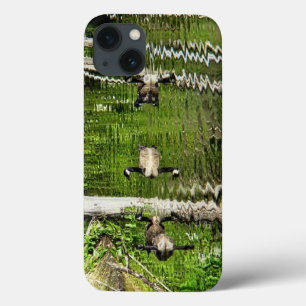 Etui iPhone 13 (Canada) Oie verte