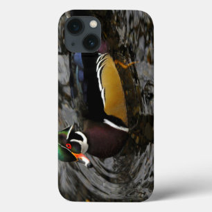 Coques Pour iPhone Canard branchu mâle à Crystal Springs Rhododendron