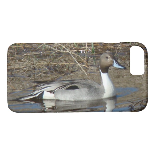 Coques Case-Mate iPhone Canard Drake du canard pilet B5 (Dos (Horizontal))