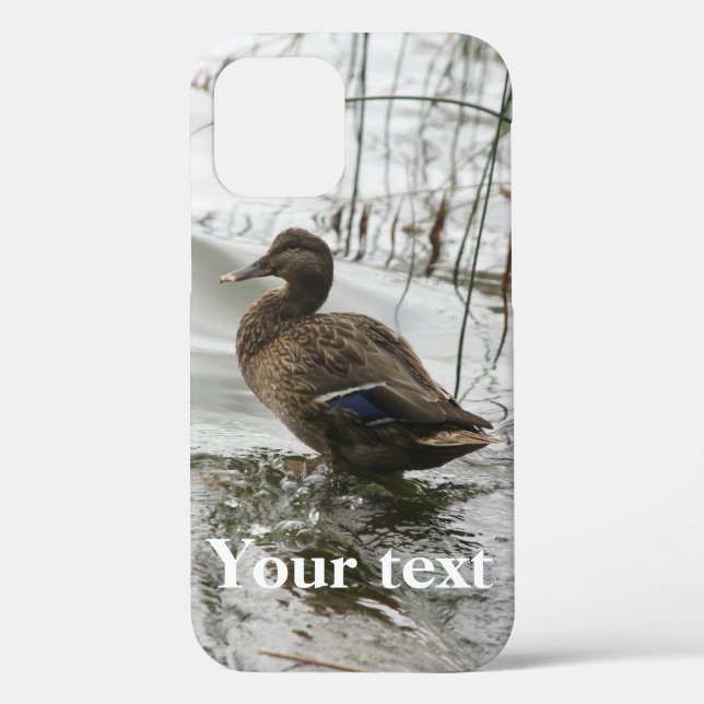 Coques Case-Mate iPhone Canard gris sur la nuit du lac (Verso)