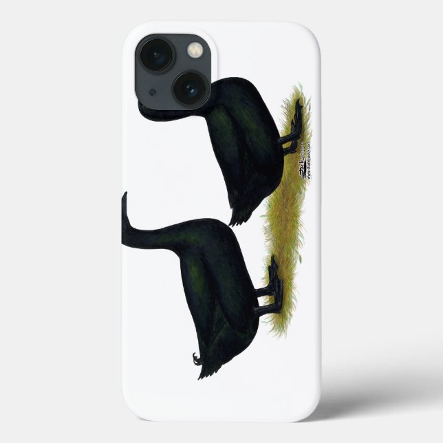 Coques Case-Mate iPhone Canards : Cayugas noirs (Verso)
