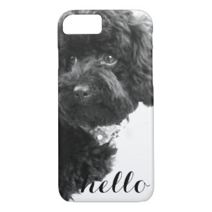 Coques Pour iPhone Caniche de jouet noir dans la photographie de B&W