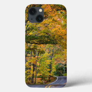 Coques Pour iPhone Canopée automnale de couleur le long de la route 4