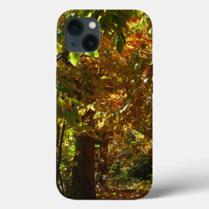 iPhone 13 Coque Canopée des Feuilles d'automne II Photographie d'a