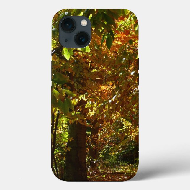 Coques Case-Mate iPhone Canopée des Feuilles d'automne II Photographie d'a (Verso)