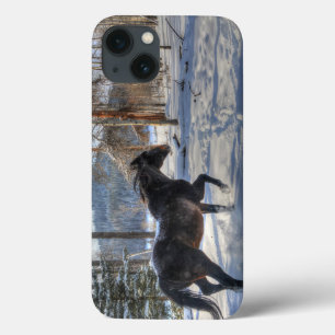 Case-Mate iPhone Case Canotage Percheron noir Cheval & neige Photo 2