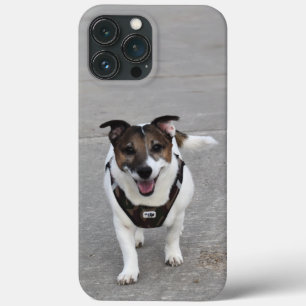 Case-Mate iPhone Case Capo von Oppenheim, Jack Russell Terrier Chien