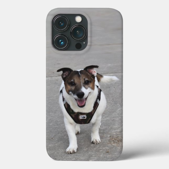 Coques Case-Mate iPhone Capo von Oppenheim, Jack Russell Terrier Chien (Verso)