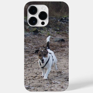 Coque Pour Pour iPhone 14 Pro Max Capo von Oppenheim, Jack Russell Terrier Chien
