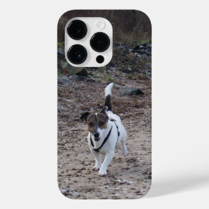 Coque Pour iPhone 14 Pro Capo von Oppenheim, Jack Russell Terrier Chien