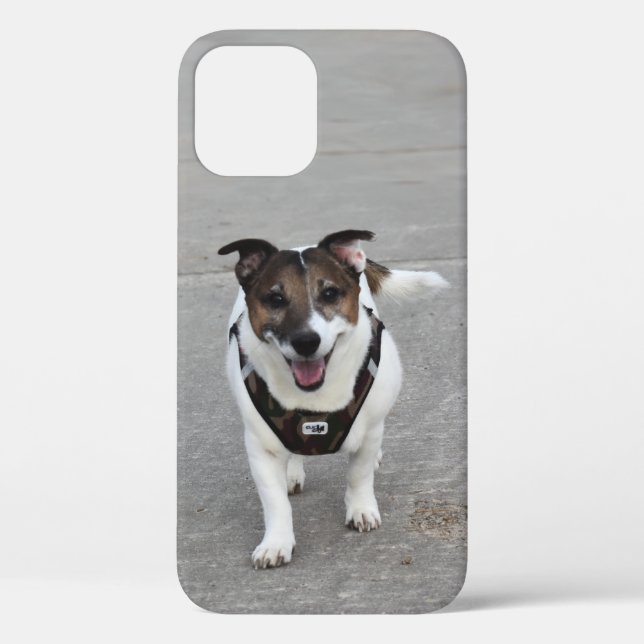 Coques Case-Mate iPhone Capo von Oppenheim, Jack Russell Terrier Chien (Verso)