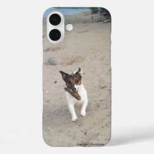 Coques iPhone 16 Plus Capo von Oppenheim Jack Russell Terrier, Chien
