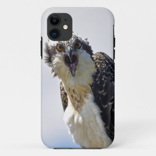 Coques Pour iPhone Capture d'écran Osprey Fish-Eagle Wildlife Photogr