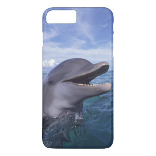 Coques Pour iPhone Caraïbes, Grand dauphin