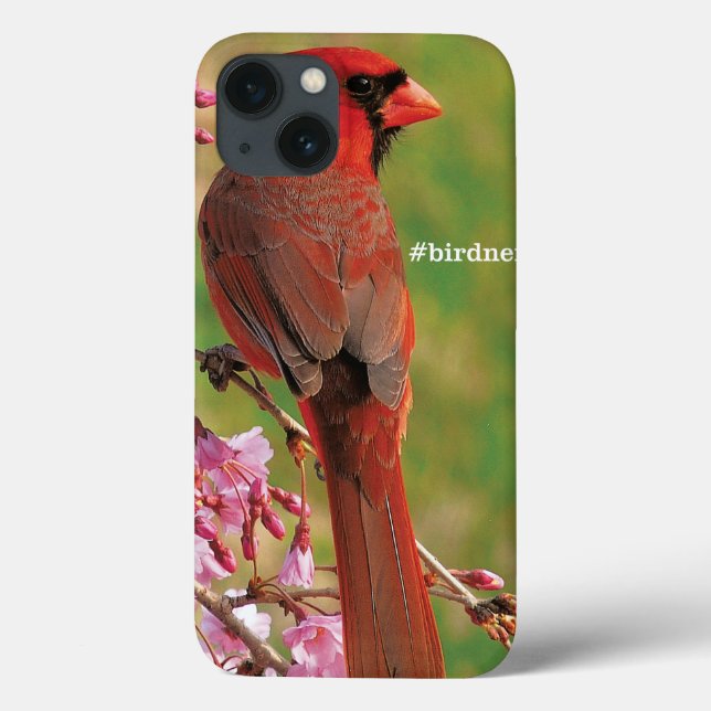 Coques Case-Mate iPhone Cardinal de Northern (Verso)