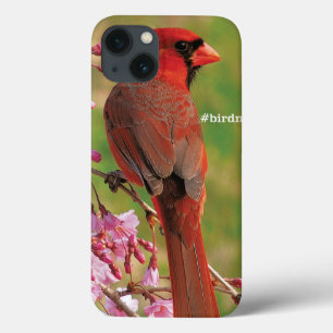 Etui iPhone Case-Mate Cardinal du nord
