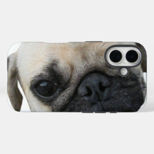 Coques iPhone 16 Carlin ami chien ... か わ い い 子 犬