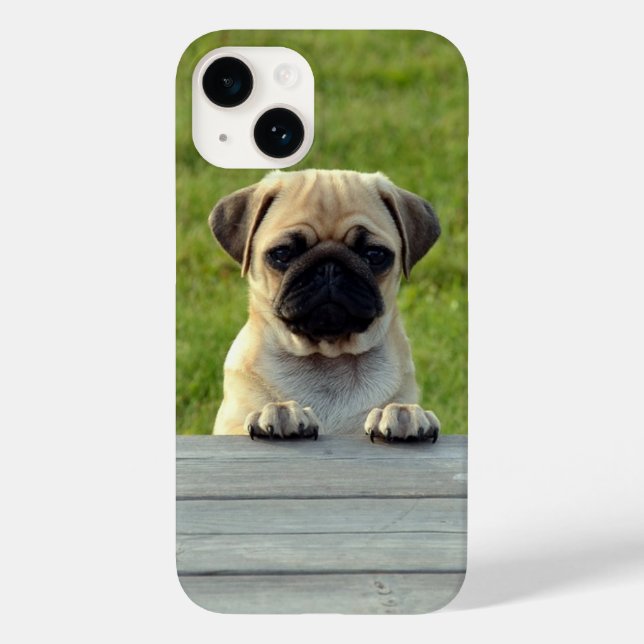Coques Case-Mate iPhone Carlin Pup Cute Photo (Verso)