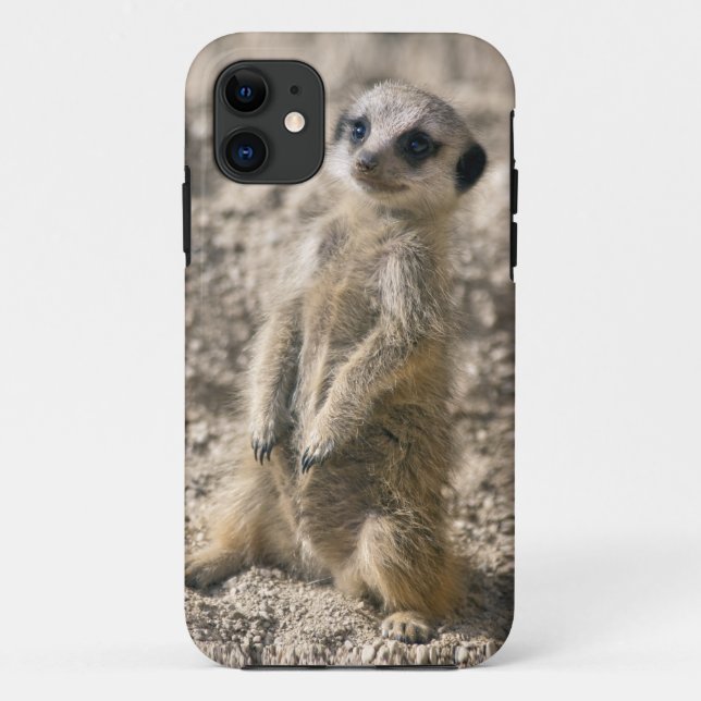 Coques Case-Mate iPhone Cas de Coque-Compagnon de l'iPhone 5 de (Dos)