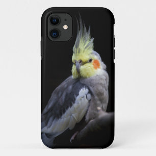 Coque iPhone 11 Cas de Coque-Compagnon de l'iPhone 5 de Cockatiel