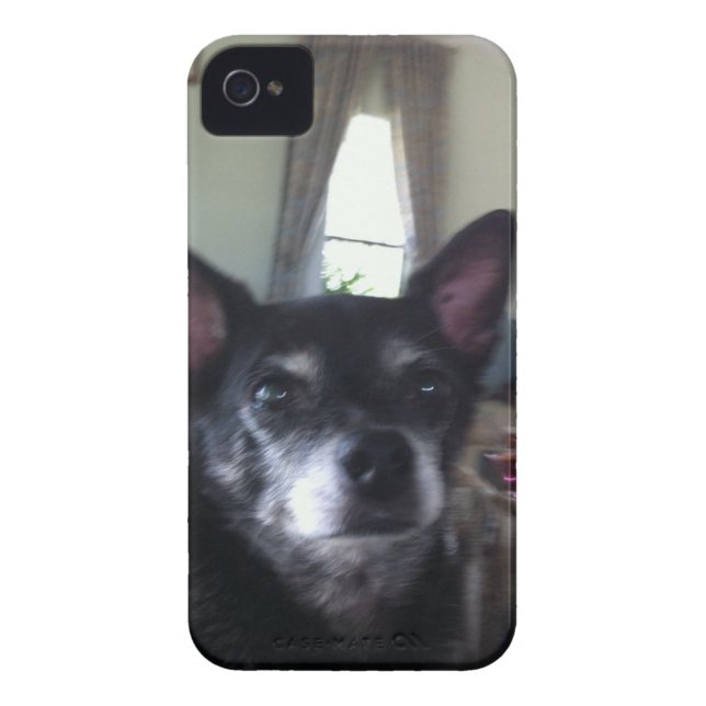 Coques Case-Mate iPhone cas de l'iPhone 4/4S d'instant de Zazzle (Dos)