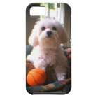 cas de l'iPhone 5 d'instant de Zazzle