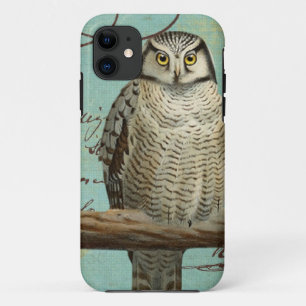 Coque iPhone 11 cas de l'iphone 5. Hibou vintage