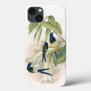 iPhone 13 Case Cas de l'iPhone 6 d'oiseaux de colibri