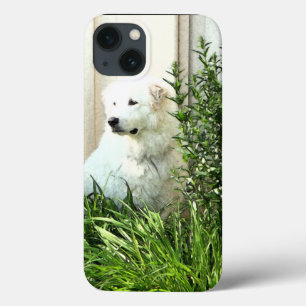 Case-Mate iPhone Case Cas de l'iPhone X de race de chien de Grands