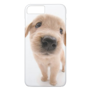 Coque Case-Mate Pour iPhone Cas de téléphone de golden retriever