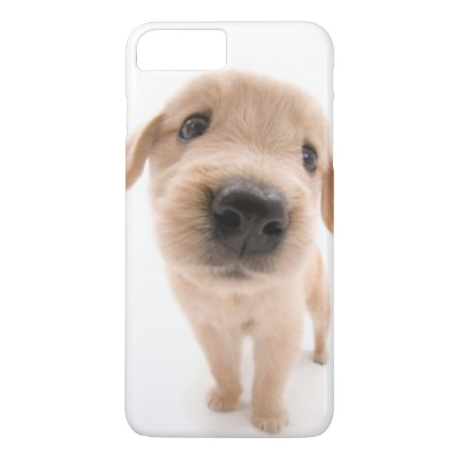 Coques Case-Mate iPhone Cas de téléphone de golden retriever (Dos)