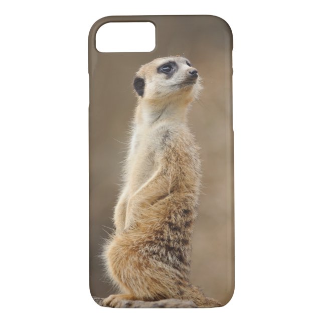 Coques Case-Mate iPhone Cas de téléphone de Meerkat (Dos)
