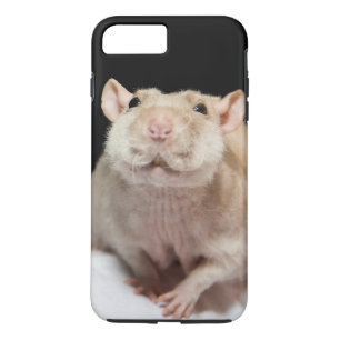 Coque iPhone 7 Plus Cas de téléphone de rat