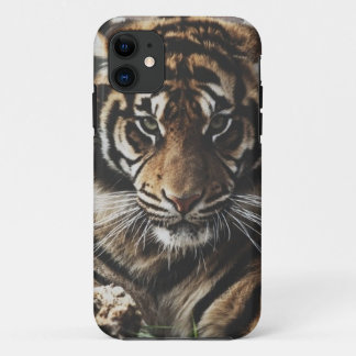 Case-Mate iPhone Case Cas de tigre