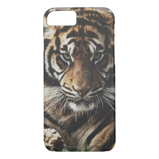 Coque iPhone 8/7 Cas de tigre