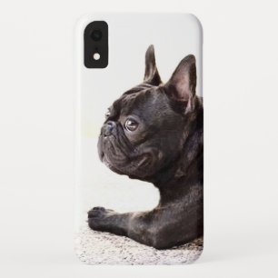 Case-Mate iPhone Case Cas de Xr d'iPhone de bouledogue français