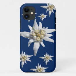 Coque iPhone 11 Cas d'edelweiss sur l'arrière - plan bleu-foncé