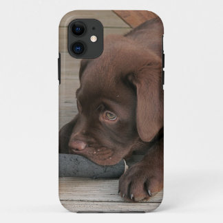 Coque iPhone 11 Cas d'Iphone 5 avec du chocolat labrador retriever