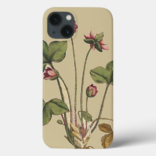 iPhone 13 Case Cas floral de l'iPhone 6 de jardin botanique de